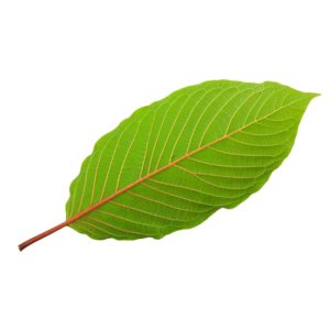what are kratom colors
