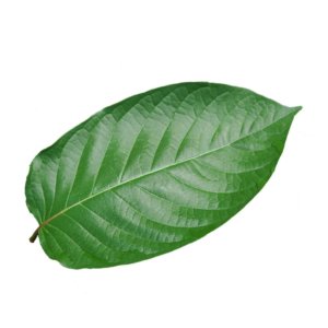 kratom leaf for sale